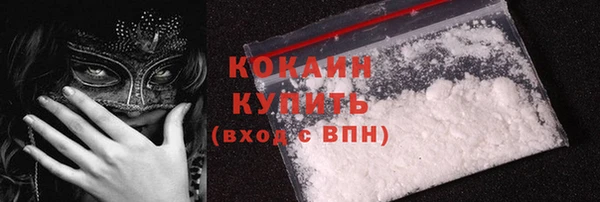 таблы Новозыбков