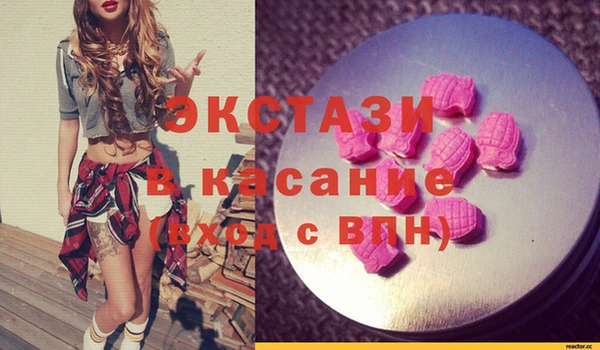 дживик Няндома