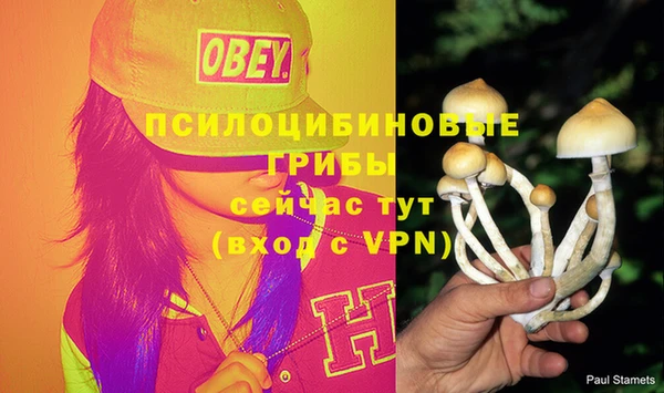 таблы Новозыбков