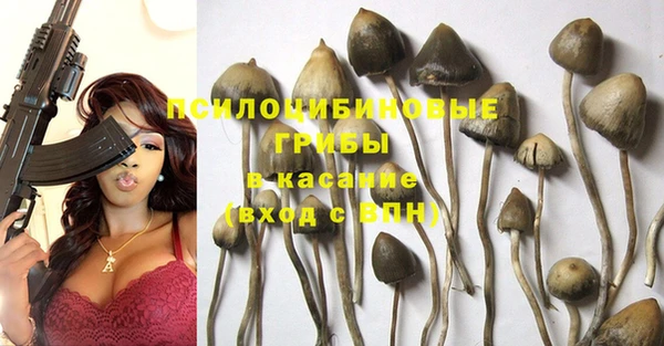 таблы Новозыбков