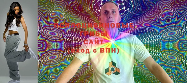 герыч Новодвинск